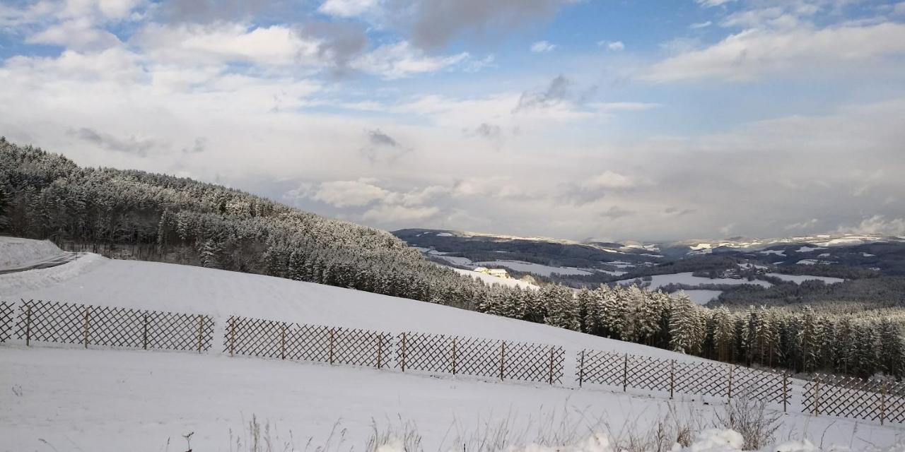 Bed and Breakfast Wald-Panorama-Zimmer Mönichkirchen Zewnętrze zdjęcie